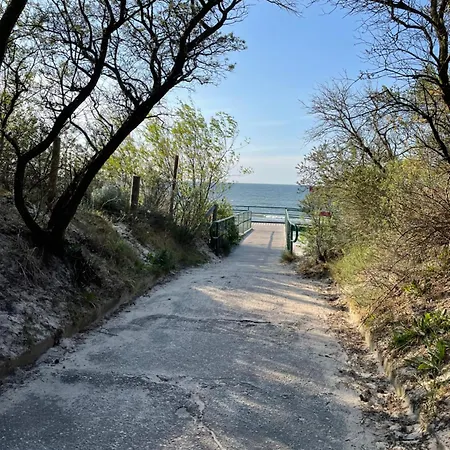 Plazowa Park With Garden By Renters * 미에드지보드지